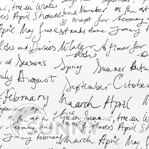 Letter