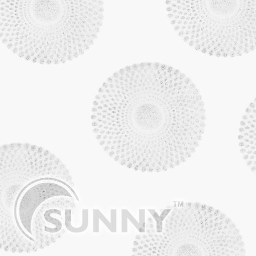 Sun Silver