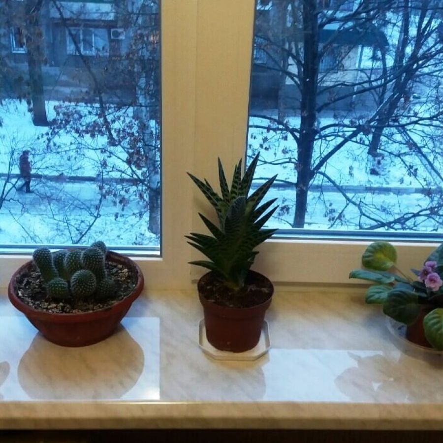Отзыв клиента о Виконда Запорожье