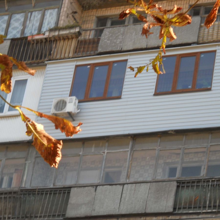 Отзыв клиента о Виконда Запорожье