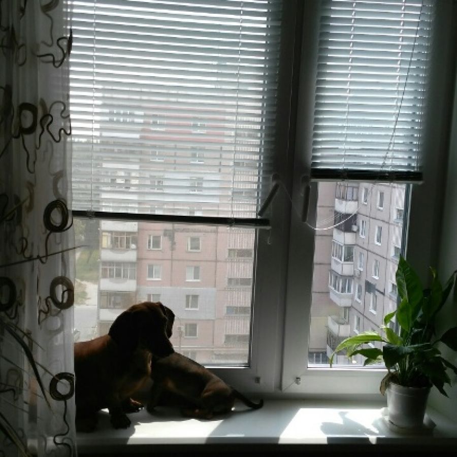 Отывы клиента о Виконда Запорожье
