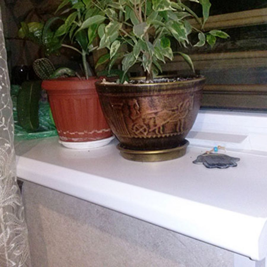 CAM03763