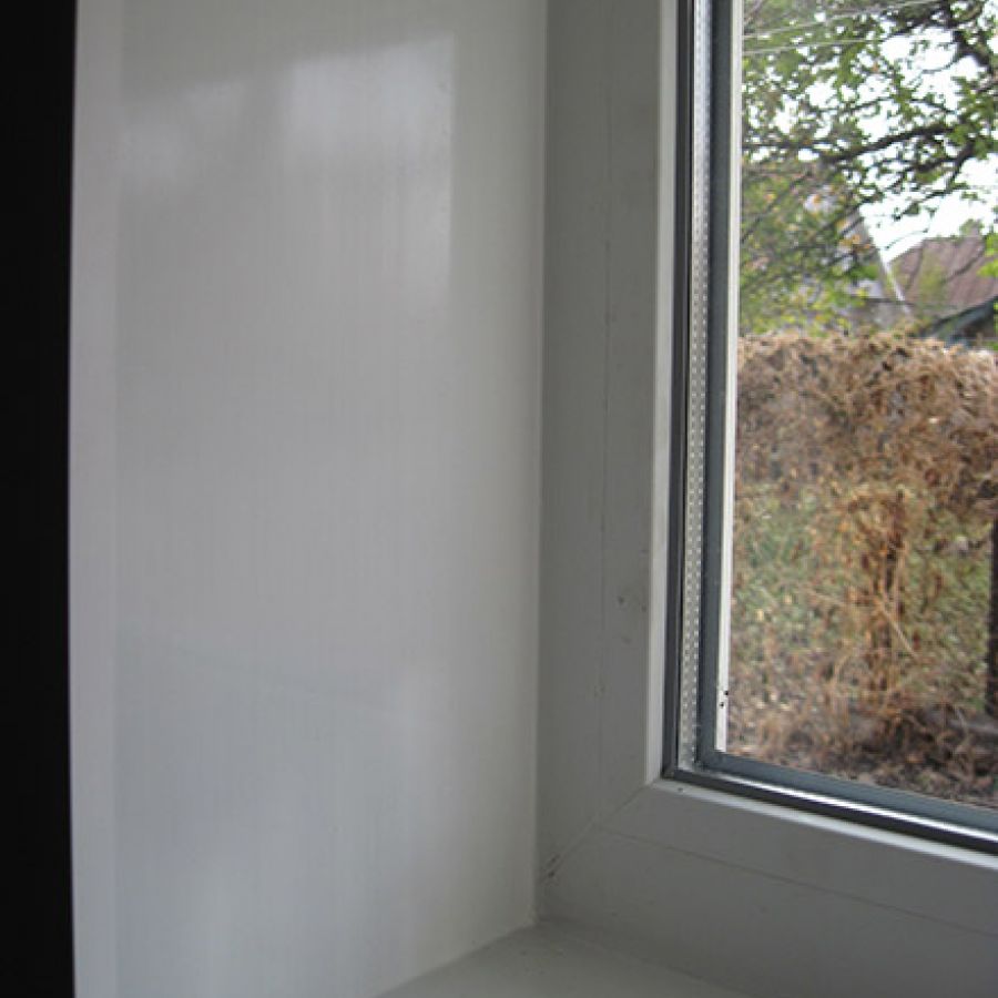 IMG 0390