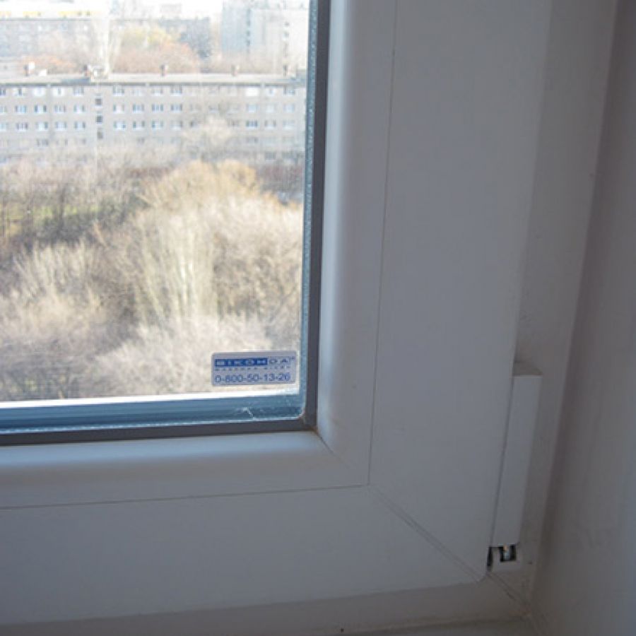IMG 0456