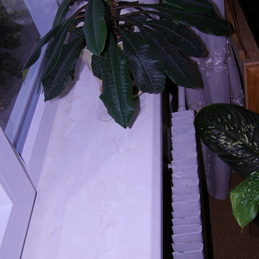 P8313419